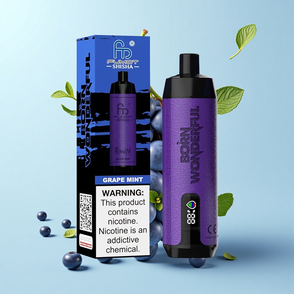 RandM Fumot Shisha 10000 Iesūkieni Vienreizējās Lietošanas Vape Vīnogu Mētra LED Indikators 18mL 850mAh
